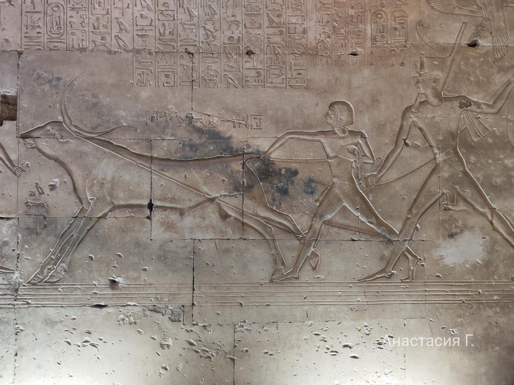 Ленивый Египет (Хургада, Луксор, Каир), декабрь 2025 - январь 2026