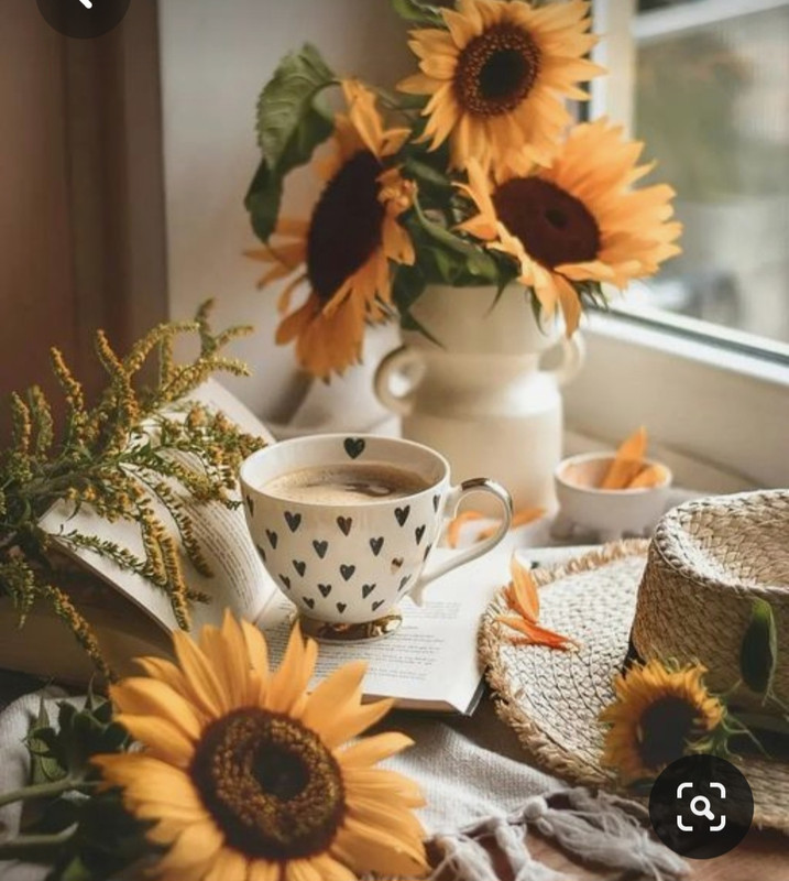 Screenshot_20230819_223820_Pinterest