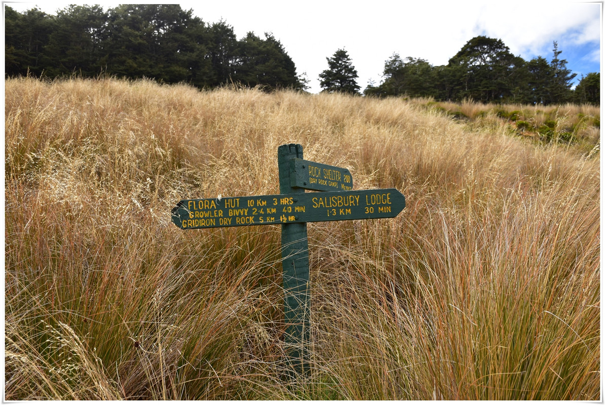 Kahurangi NP: Tableland/Mt Arthur Circuit (abril 2023) - Escapadas y rutas por la Nueva Zelanda menos conocida (12)