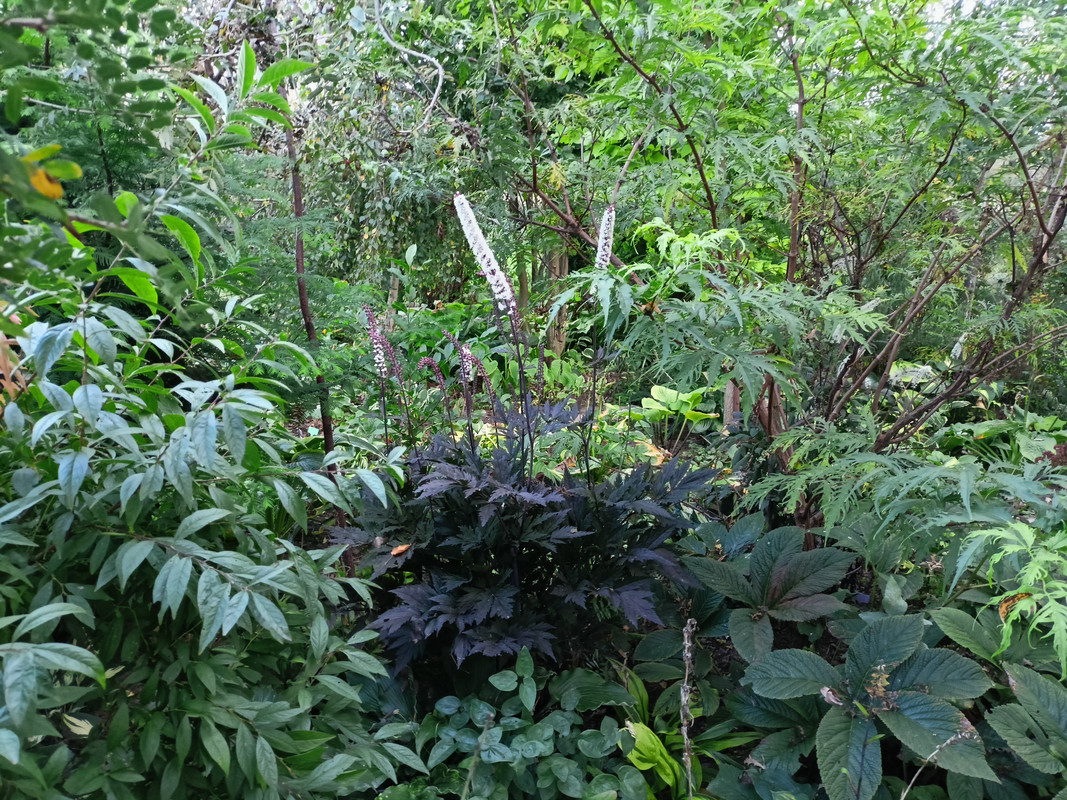 IMG-4880990100d8981a659995eb41aca7b2-V