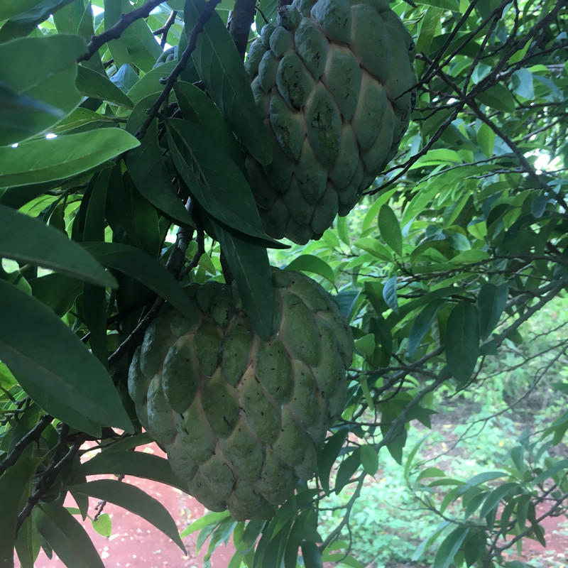 C3E1508C-5315-4C0D-8A60-164DA145F838