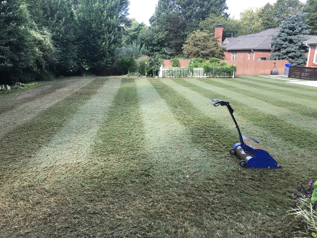 AC03D268-1FA0-4BA1-AED4-DACAD7C8B775