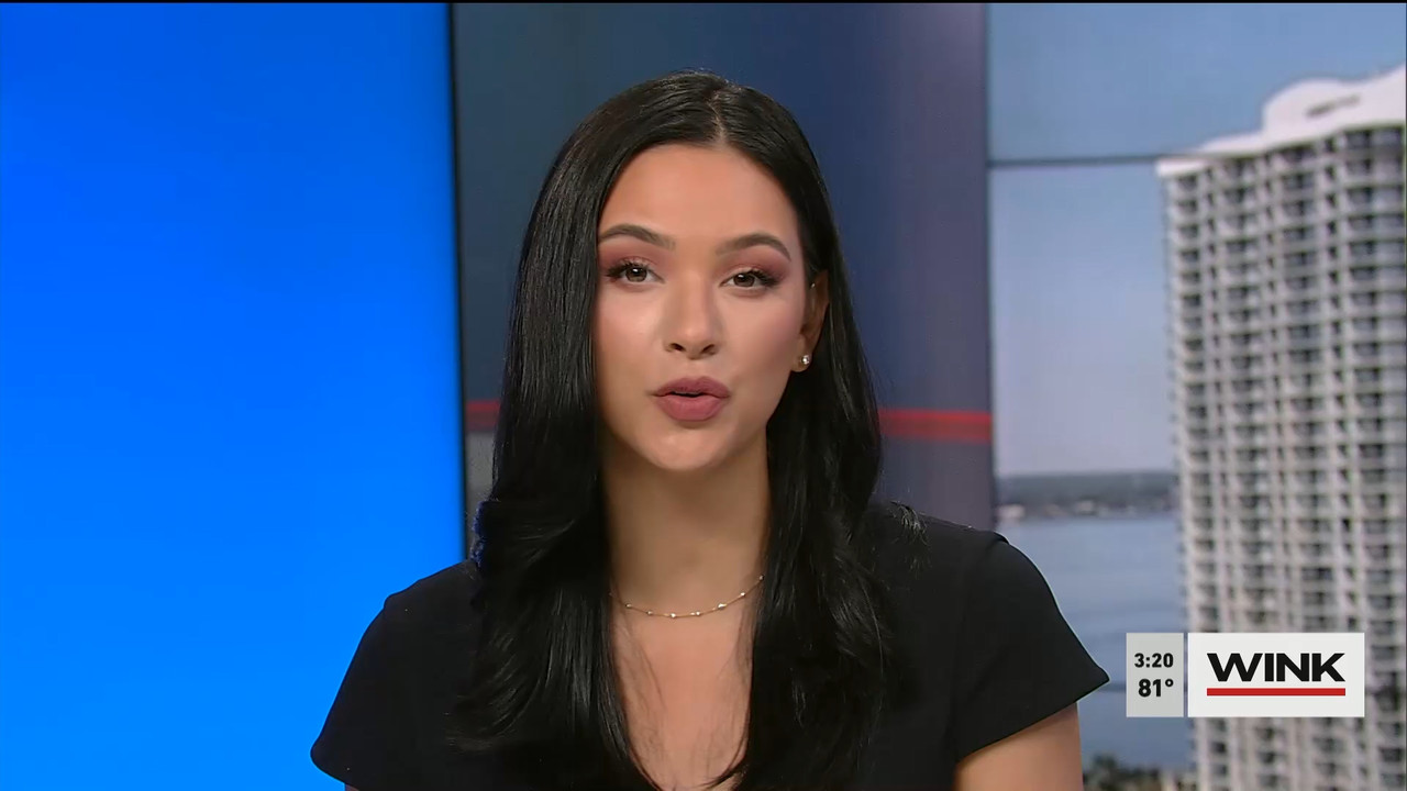 03.21 - 19.00.00 - WINK News at 3pm  ᴺᵉʷ..ts_snapshot_00.26.50.023
