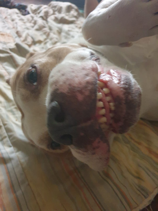 WhatsApp Image 2023-02-06 at 22.35.35 (4)