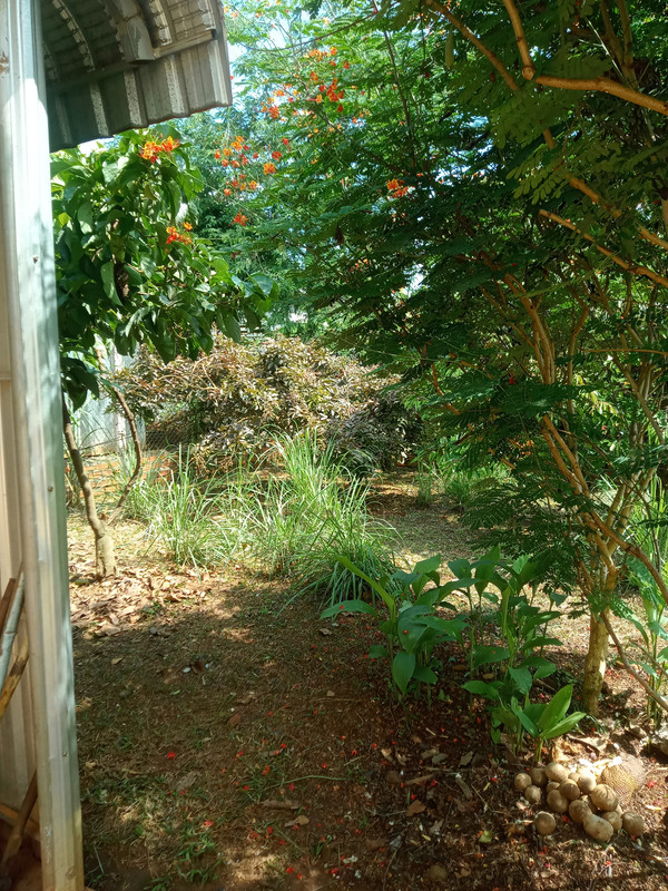 IMG20260612140420