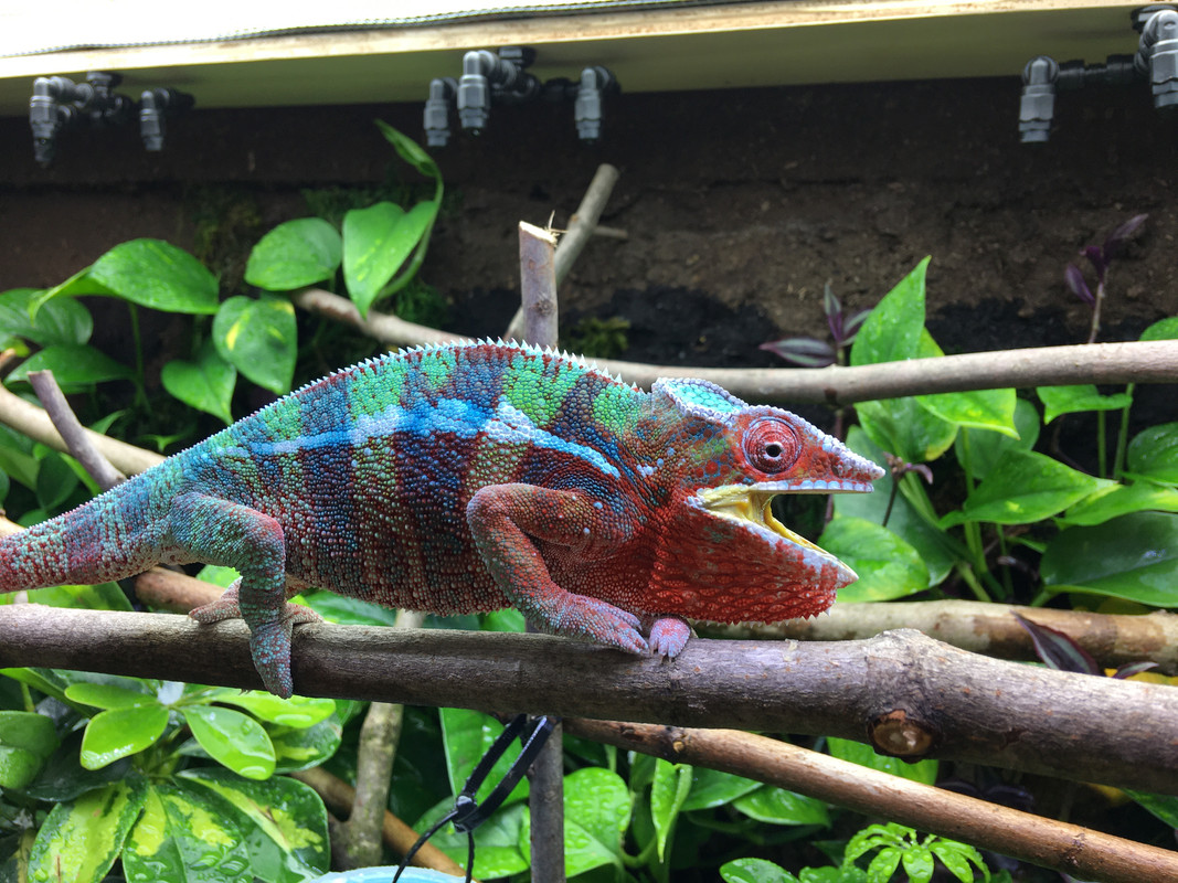 B75E08E3-ABCC-43F8-9E7C-82BCB9435A15