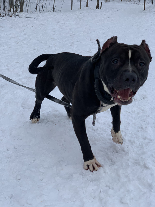 7C9A70F5-A734-4210-9B9C-F5C8D497C012