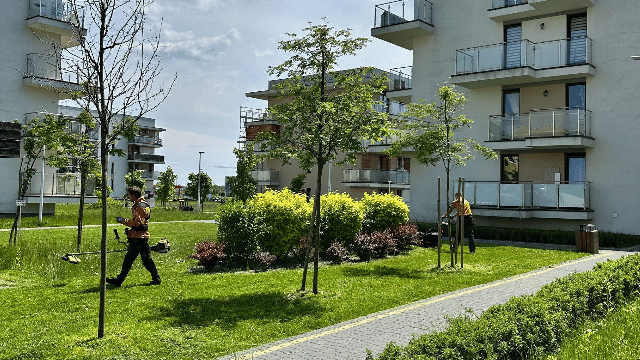 Przygotowanie terenów zielonych do zimy - trawniki, krzewy, żywopłoty i ostatnie prace sezonowe