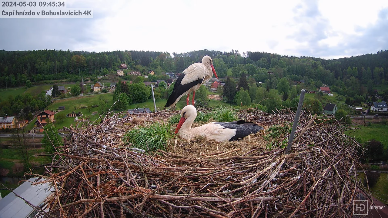 Tiešraidē no uzņēmuma KARA stārķa skursteņa Bohuslavicē pie Trutnovas 8-56-49 screenshot