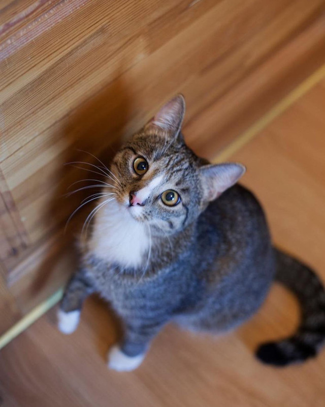 571FC2BC-171F-44EC-9B4E-617C0274A438