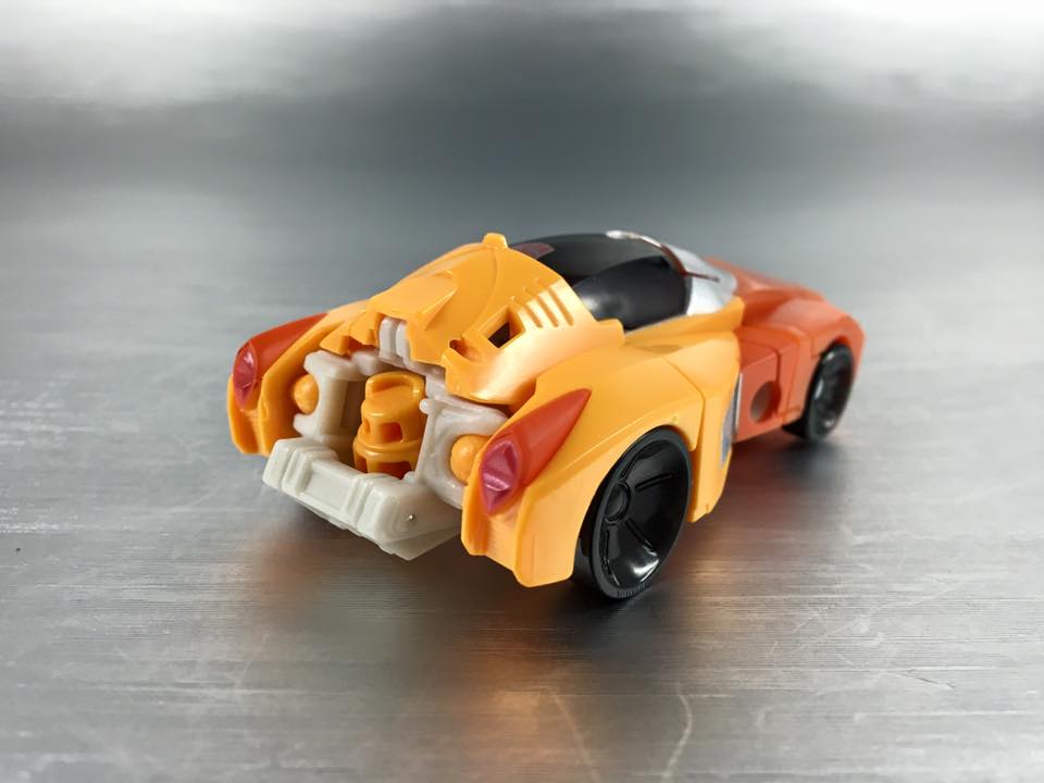 13524354_876027692524637_4444590002910982836_n