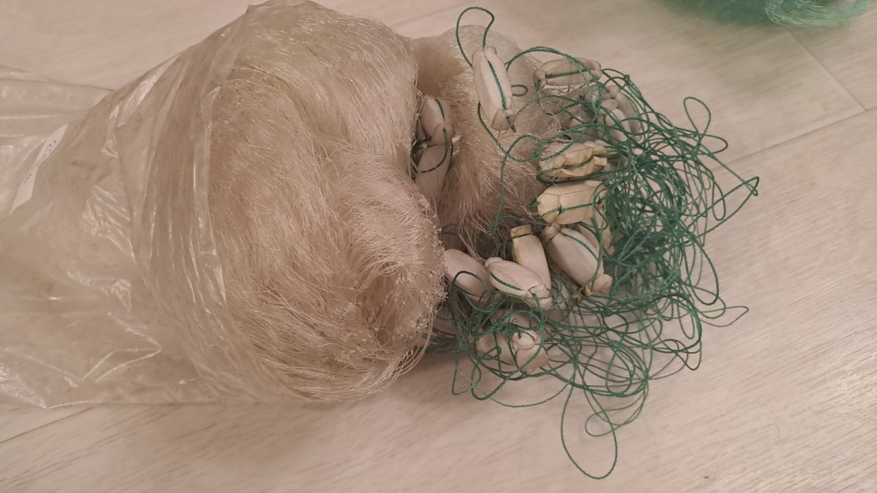 изображение_viber_2023-02-28_12-00-39-890