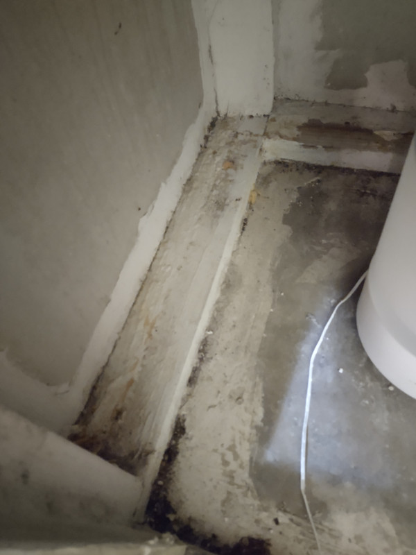 IMG_20220315_235841327