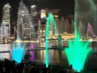 Indonesia, Singapur y Malasia 2022 - Blogs de Asia Sudeste - Día 12 y 13. Singapur (14)