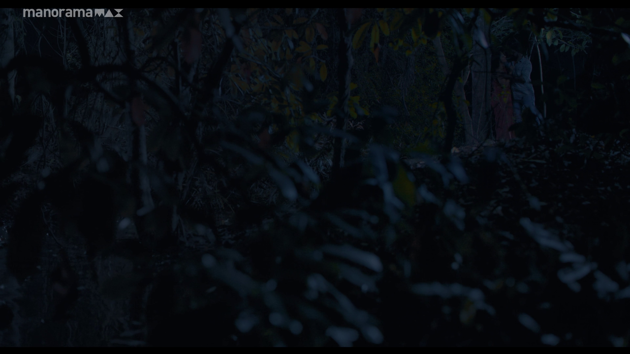 vlcsnap 2026 02 25 12h52m37s687