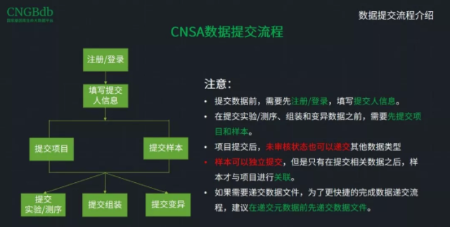 CNSA直播回顾_4