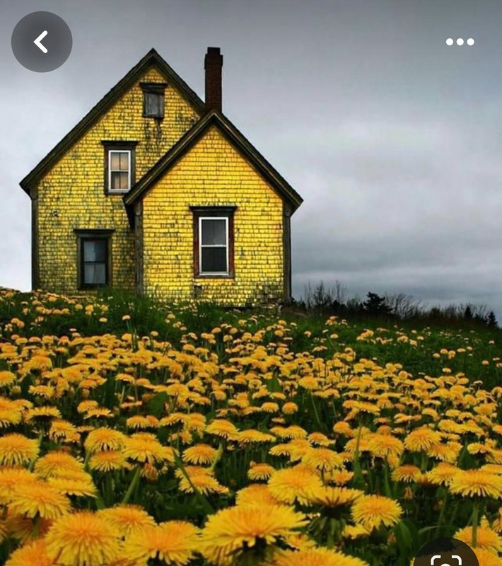 Screenshot_20240305_220456_Pinterest