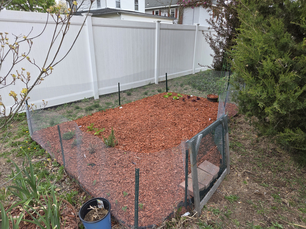 Garden 20260413