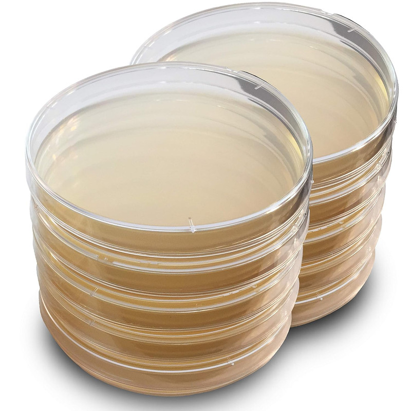 Agar-Plates.jpg