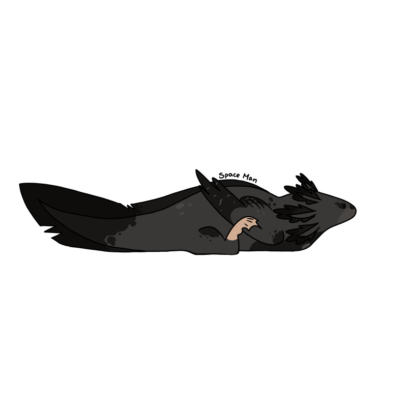 8-B8-A2-E45-2112-47-B4-8476-07-E6-C14-FDBA0.png