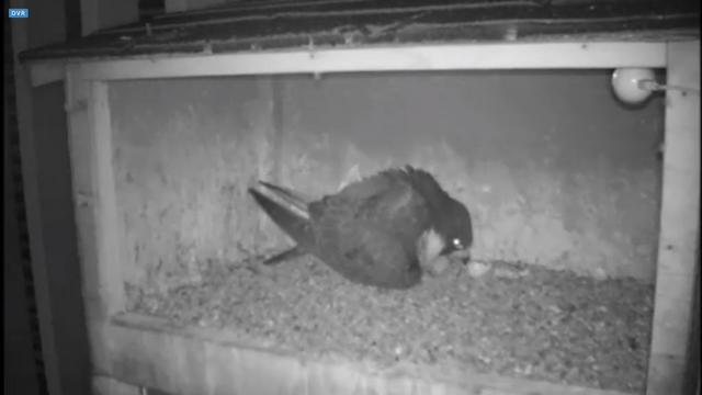 capture_10062018_151456