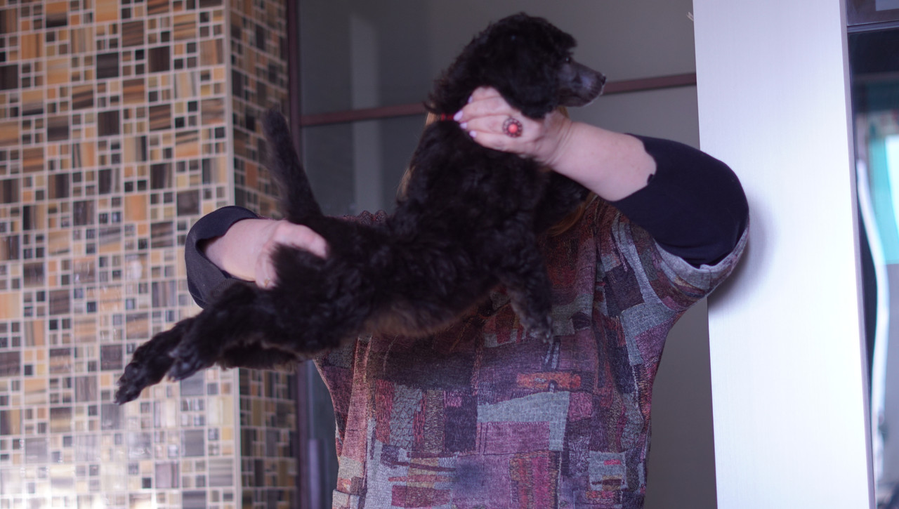 58C98F35-FB07-4E6B-A1DE-BDCFDDDAF83C