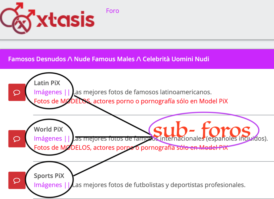 Captura de Pantalla 2021-03-18 a la(s) 7.51.21 p.m.