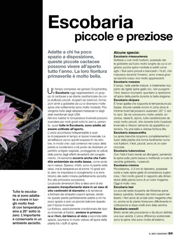 Il Mio Giar Mag-Giu 2020 (10)