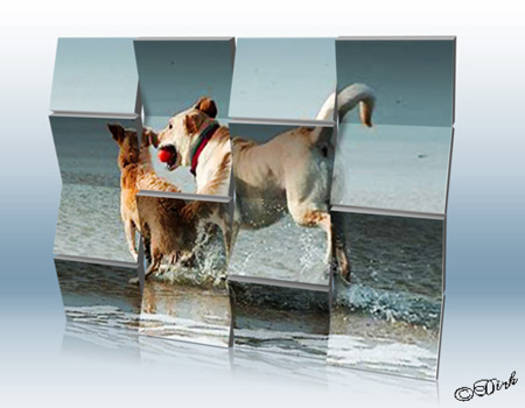 Hond.jpg