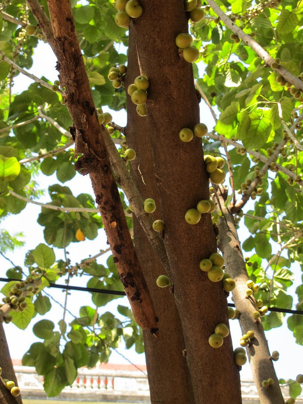 D426349F-814B-4F08-808A-B33C1ADEC46A