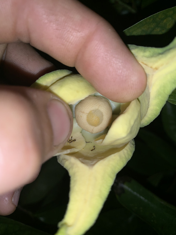 FE14B6A0-1B65-4A16-949B-47779086A85C