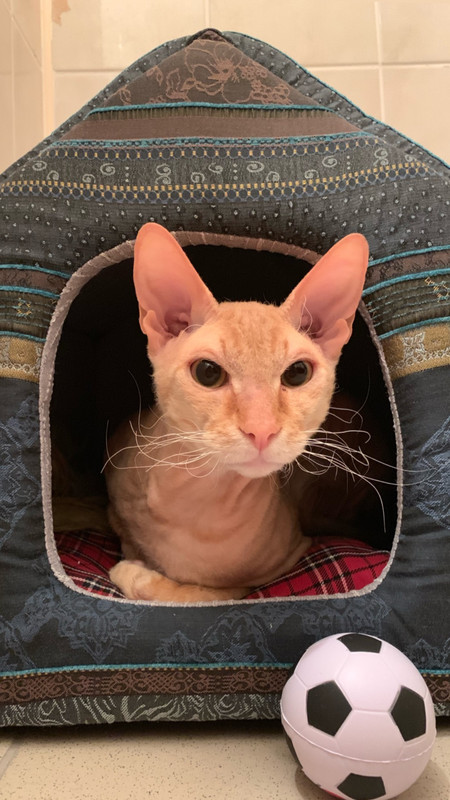 E0CA8240-7EE9-4756-A75A-331BC34FBBC4