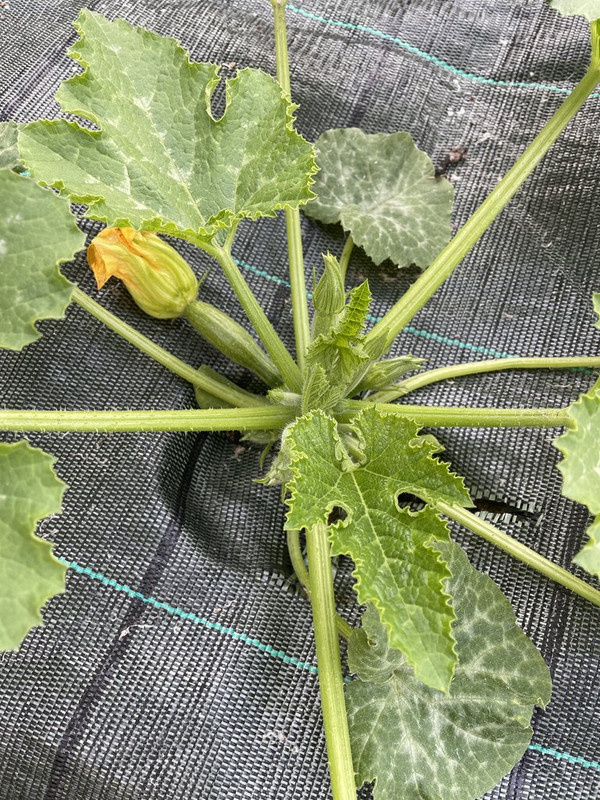 64823E09-9C42-4160-BB74-241534861B94