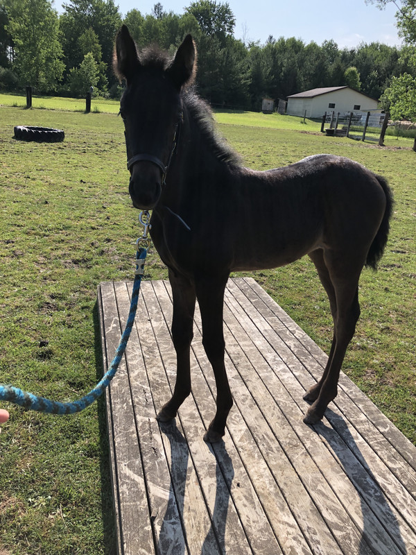 DAAED5E4-6770-4FA9-815D-BEC7C536EE3B