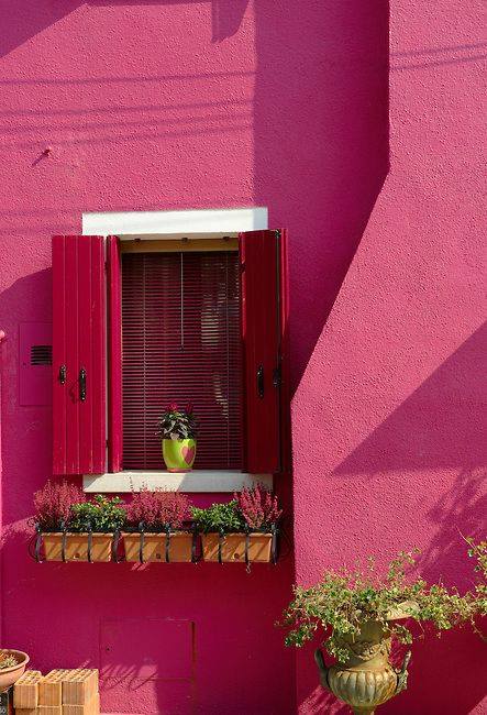 ���� ���� ������ �� ���� ������