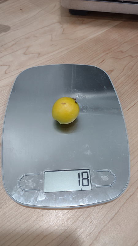 IMG_20240503_180627239