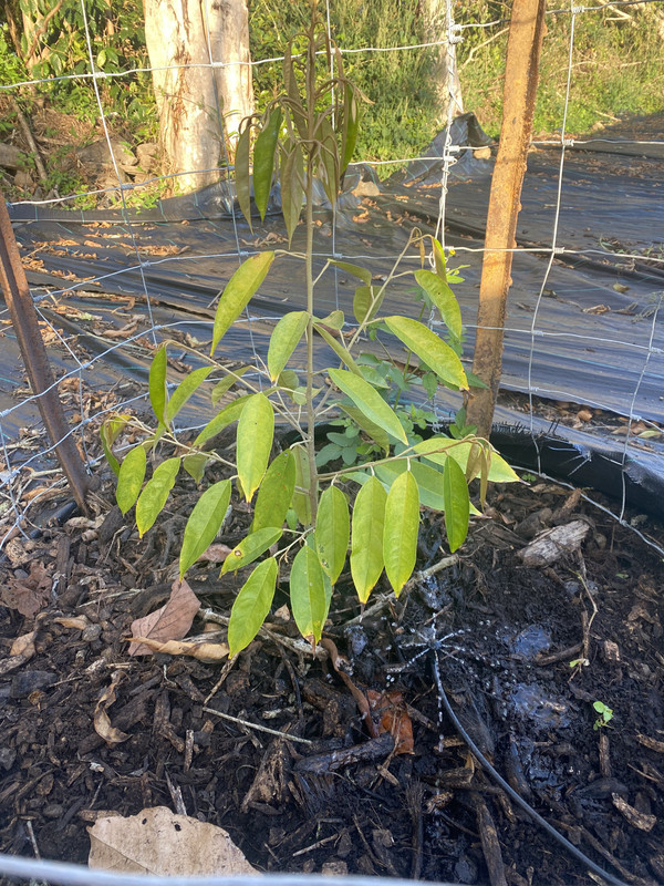 860E9772-A594-4767-AAD8-3F65CF703E5E