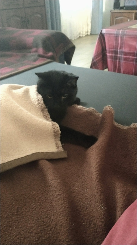 IMG 20251025 080844066 2