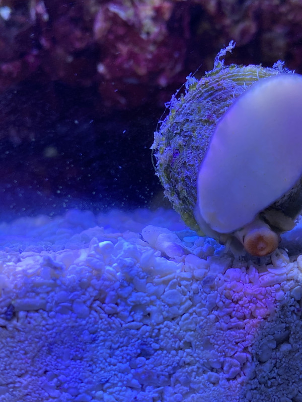 34EA887F-CB60-4C61-AEC6-268F87941E39