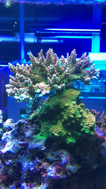 C595AF04-F58D-4A58-A372-710C23622EE8