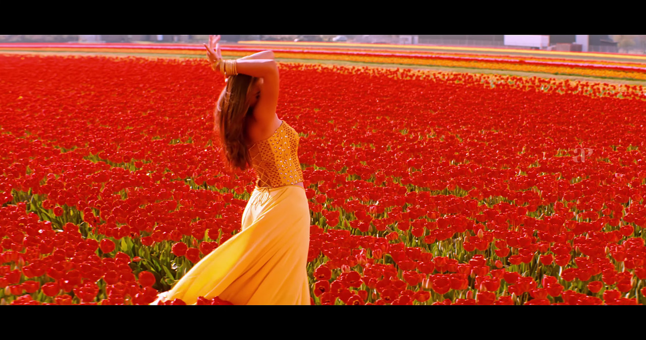 VideoCapture_20241122-200423