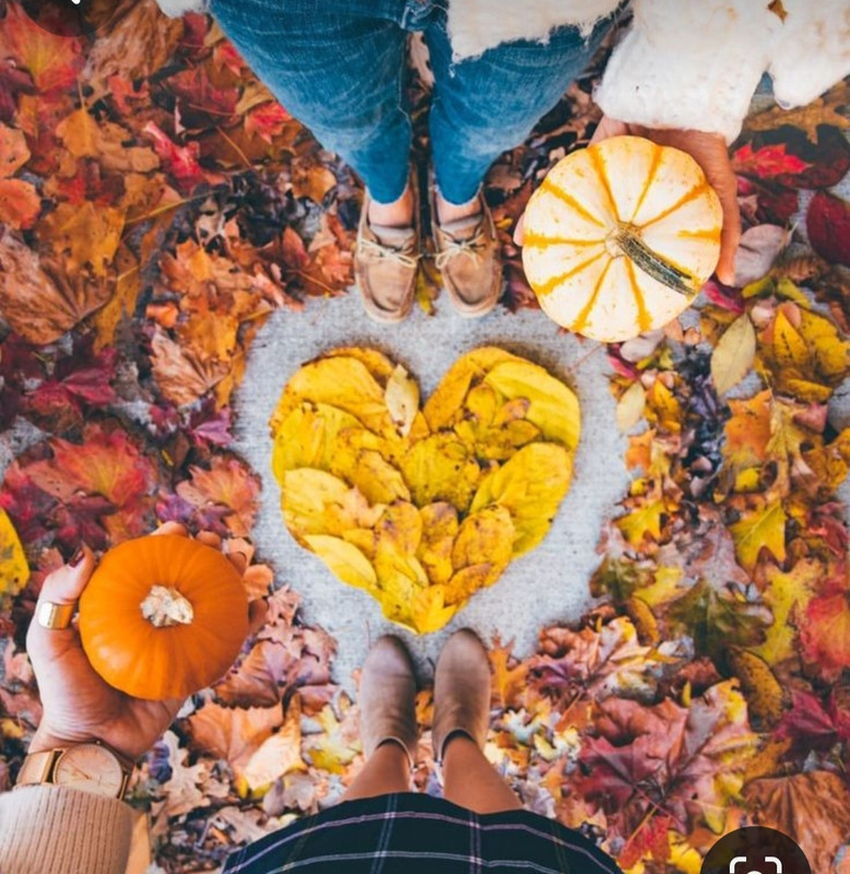 Screenshot_20240214_173725_Pinterest