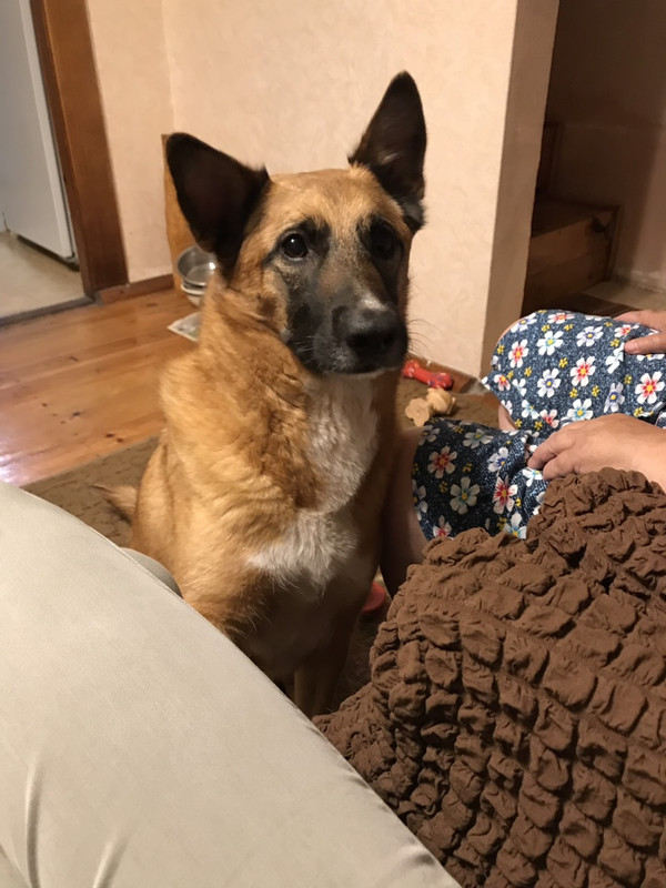 изображение_viber_2019-07-16_15-16-44.jpg1