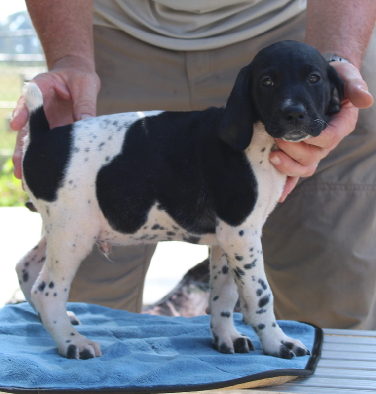 E2F37E16-23D5-4121-8F81-349CD41382AA