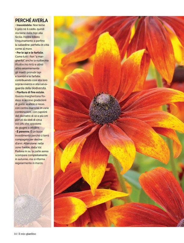 Il Mio Giar Ott-Nov 2022 (3)