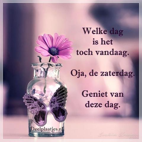 deelplaatjes-nl-welke-dag-is-het-toch-vandaag-489758.jpg