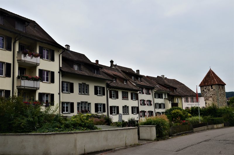 Suiza y sus pueblos-2019 - Blogs de Suiza - STEIM IM RHEIN-6-9-2019 (83)