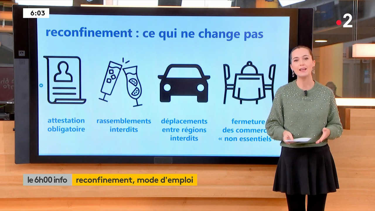 Pauline Forgue 2020-10-29.mp4_snapshot_00.33_[2020.10.29_18.08.36]