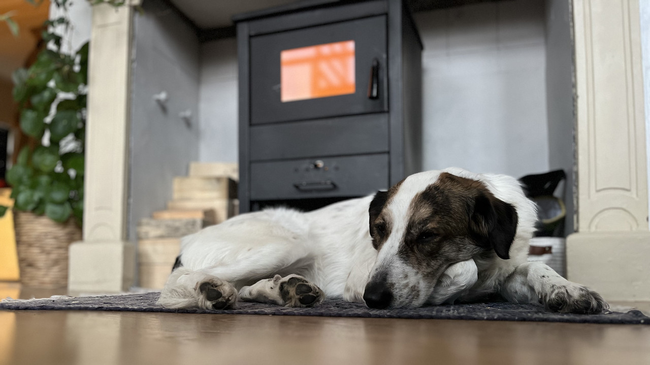 6FA96F93-73B7-4A2D-B776-603C624020AC