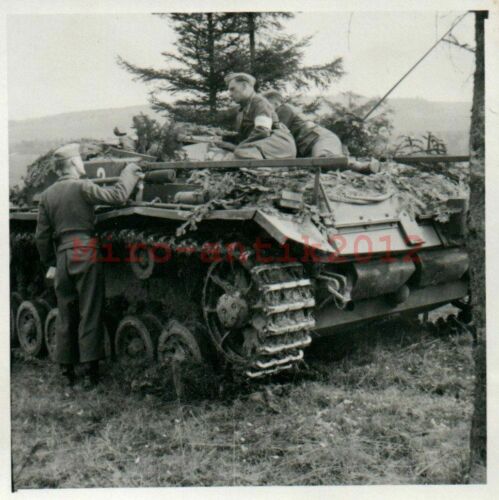 Original  Foto, 2. A.E.A.96, Sturmgeschütz Übung in Wischau, Tschechien, 1942 (3)
